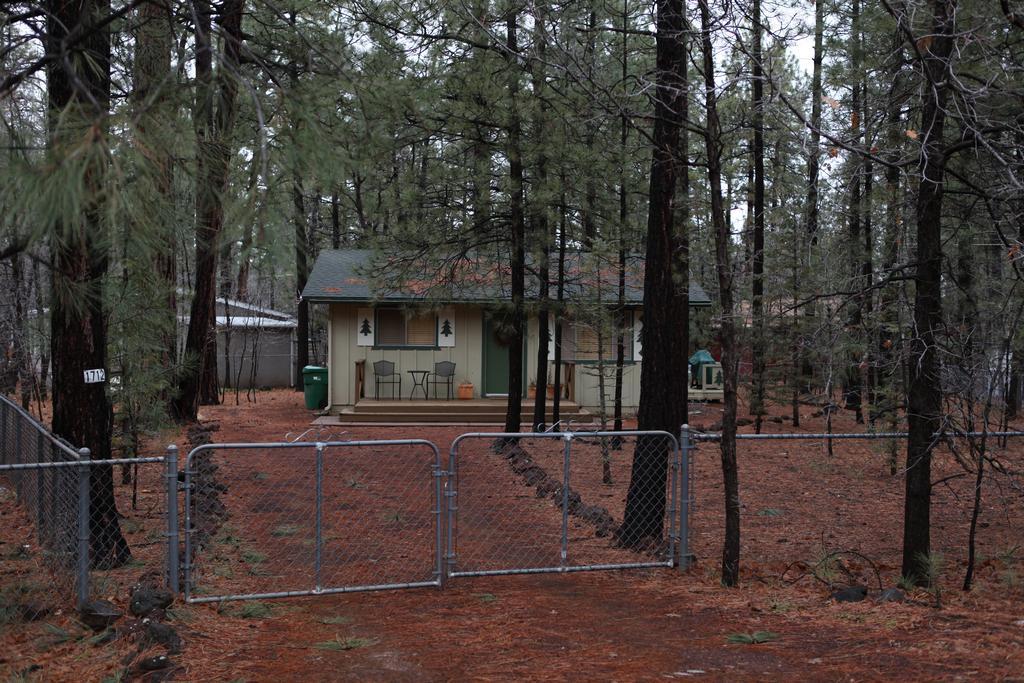 פיינטופ-לייקסייד Adair Springs Cabin מראה חיצוני תמונה