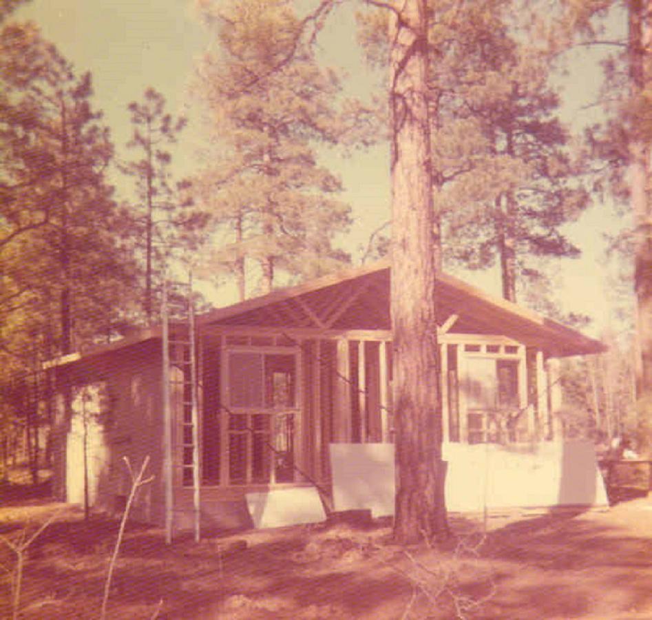 פיינטופ-לייקסייד Adair Springs Cabin מראה חיצוני תמונה