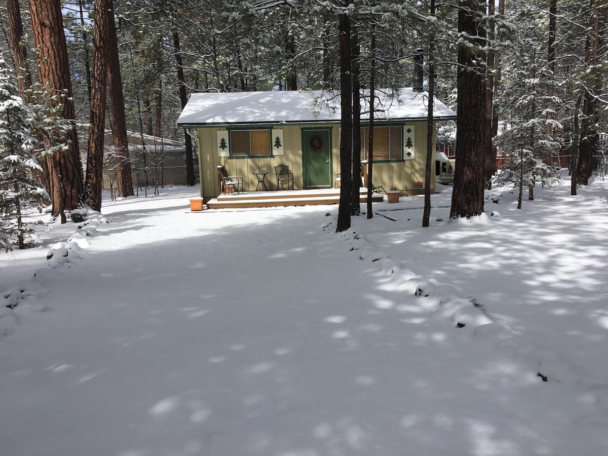פיינטופ-לייקסייד Adair Springs Cabin מראה חיצוני תמונה